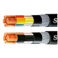 Polycab LT Cable 1.5 sq mm 10 core 1100v Copper Conductor Armoured